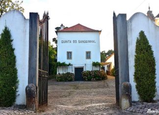 Este Natal – O que oferecer?