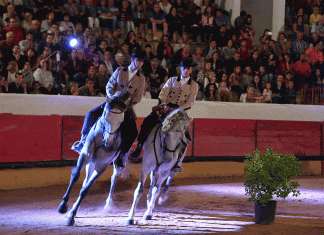 4ª Gala Equestre – evento solidário a favor da Associação de Saúde Mental do Médio Tejo Escola Equestre Vitor Rodrigues