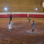 Escola Equestre Vitor Rodrigues