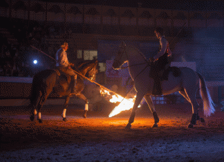 4ª Gala Equestre – Uma noite repleta de arte e amor pelo próximo Escola Equestre Vitor Rodrigues