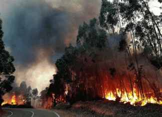 Mais “tempestades de fogo” como a registada em Pedrógão são expectáveis. Tempestades de fogo