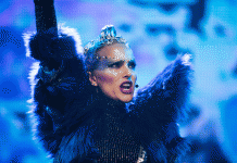 VOX LUX