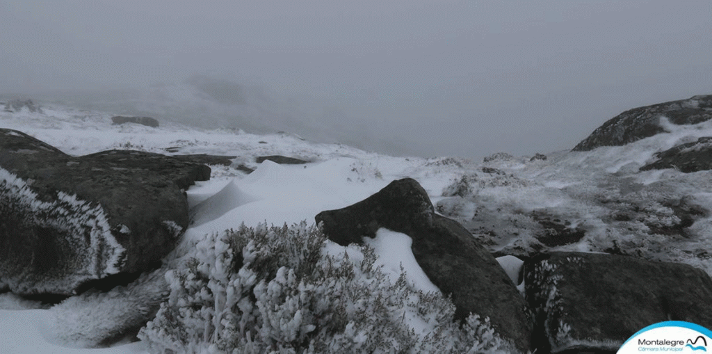 Neve De Visita A Montalegre Anoticia