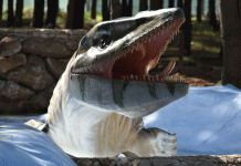 Dino Parque inaugura Novo Trilho dedicado aos Monstros Marinhos Dino Parque