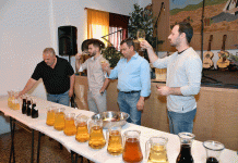 Prova de vinhos em Santa Cruz acompanhada por convívio Santa Cruz