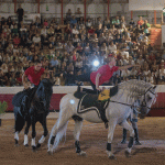 5ª Gala Equestre Solidária