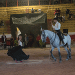 5ª Gala Equestre Solidária