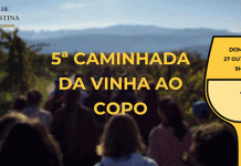 5ª Caminhada da Vinha ao Copo na Quinta de Santa Cristina Quinta de Santa Cristina