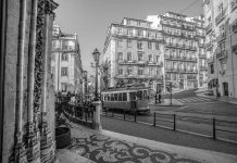 COVID-19: Lisboa abre duas unidades de rastreio COVID-19: Lisboa abre duas unidades de rastreio