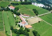 Região dos Vinhos Verdes aumenta em 70% as indemnizações do Seguro de Colheitas Região dos Vinhos Verdes aumenta em 70% as indemnizações do Seguro de Colheitas