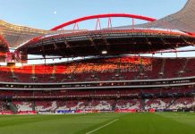 Tondela estádio Liga portuguesa