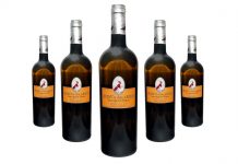 Sauvignon Blanc 2019 o mais recente lançamento da Quinta dos Abibes Sauvignon Blanc Quinta dos Abibes