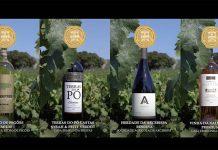 Vinhos da Península de Setúbal celebram 20 anos e elegem os melhores Vinhos da Península de Setúbal