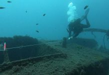 Mergulhadores da Marinha participam em exercício internacional de defesa portuária em Espanha Mergulhadores da Marinha