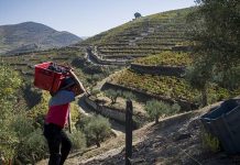 vinhos da Quinta da Côrte