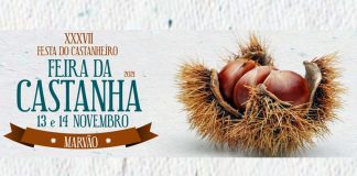 castanha em Marvão