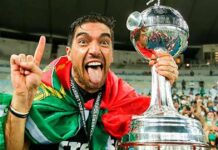 Treinador de futebol português “Uma febre portuguesa no Brasil” Treinador português no Brasil