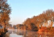 Município de Benavente lança concurso de fotografia sob o mote “Turismo em Benavente” Turismo em Benavente