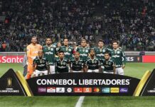 Taça Libertadores da América, pode vir a ser chamada de Libertadores do Brasil? Taça Libertadores da América