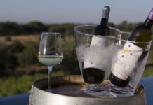 Apreciadores de vinho : Algumas experiências vínicas sugeridas pela Small Portuguese Hotels Apreciadores de vinho