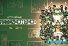 palmeiras-decimo-primeiro-título-brasileiro