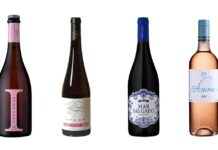 vinhos Wine Concept