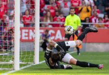 Benfica regressou às vitórias frente ao Estoril Benfica Estoril