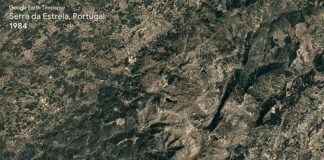 Google Earth Timelapse