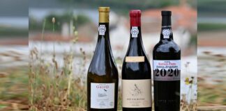 melhores vinhos Douro