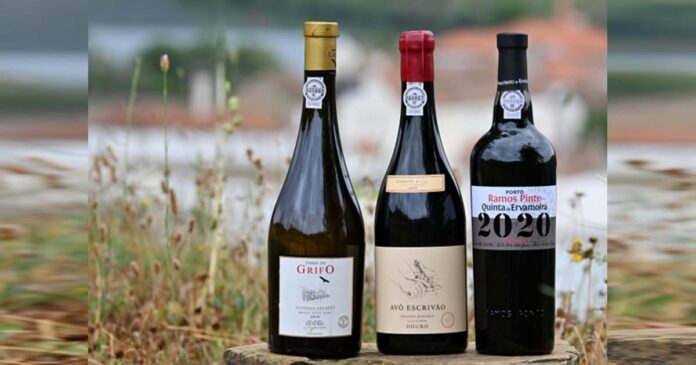 melhores vinhos Douro