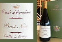 Ervideira aposta no Pinot Noir para a mais recente Escolha do Enólogo e surpreende Ervideira Pinot Noir