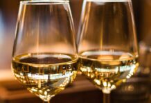 Essência do Vinho: A principal experiência do vinho em Portugal está de regresso a Lisboa Essência do Vinho Lisboa