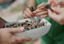 “The Art of Tasting”: O melhor da gastronomia nacional com destaque em série televisiva The Art of Tasting