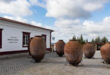 Vinhos de Alentejo