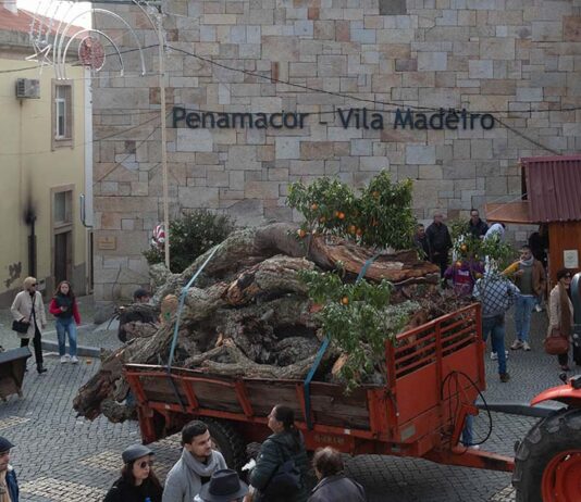 Madeiro Penamacor