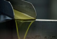 Quinzena Gastronómica das Comidas de Azeite regressa a Marvão Quinzena Gastronómica das Comidas de Azeite