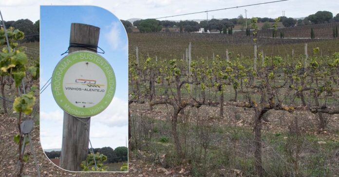 Programa de Sustentabilidade dos Vinhos do Alentejo