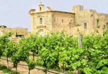 Malta para os amantes de vinhos: uma viagem pela história vinícola da ilha vinhos de Malta