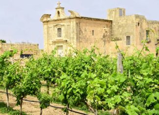 Malta para os amantes de vinhos: uma viagem pela história vinícola da ilha vinhos de Malta