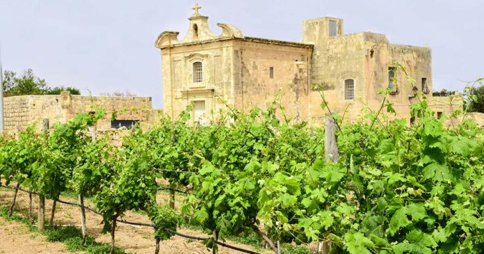 vinhos de Malta