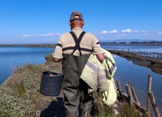 Derivas na Ria convida a explorar a Ria de Aveiro de uma forma única Derivas na Ria