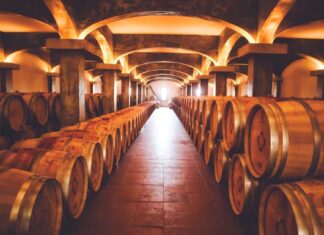 Quinta de Lemos abre portas ao público com Visitas e Provas de Vinho gratuitas Quinta de Lemos
