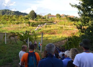 Festa do Vinho Verde de Gatão está de regresso a Amarante Festa do Vinho Verde de Gatão