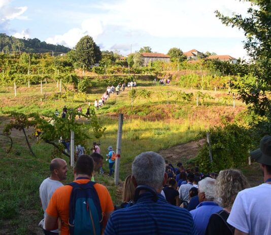 Festa do Vinho Verde de Gatão