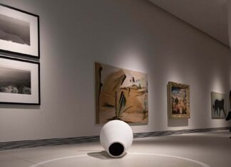 Harmonia e Inovação: A nova imagem do Cento de Arte Moderna Gulbenkian Cento de Arte Moderna Gulbenkian