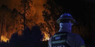 Incêndios Portugal