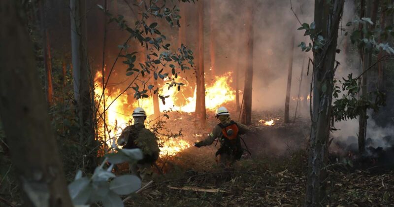 Incêndios Portugal