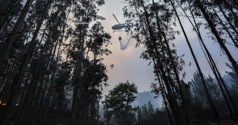 Incêndios Portugal