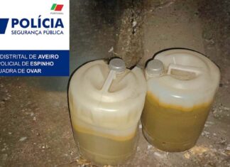 PSP encontra bidões com combustível dissimulados junto de zona florestal em Ovar PSP Ovar