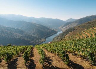 Primeiro curso da Academia Douro e Porto está aí Academia Douro e Porto